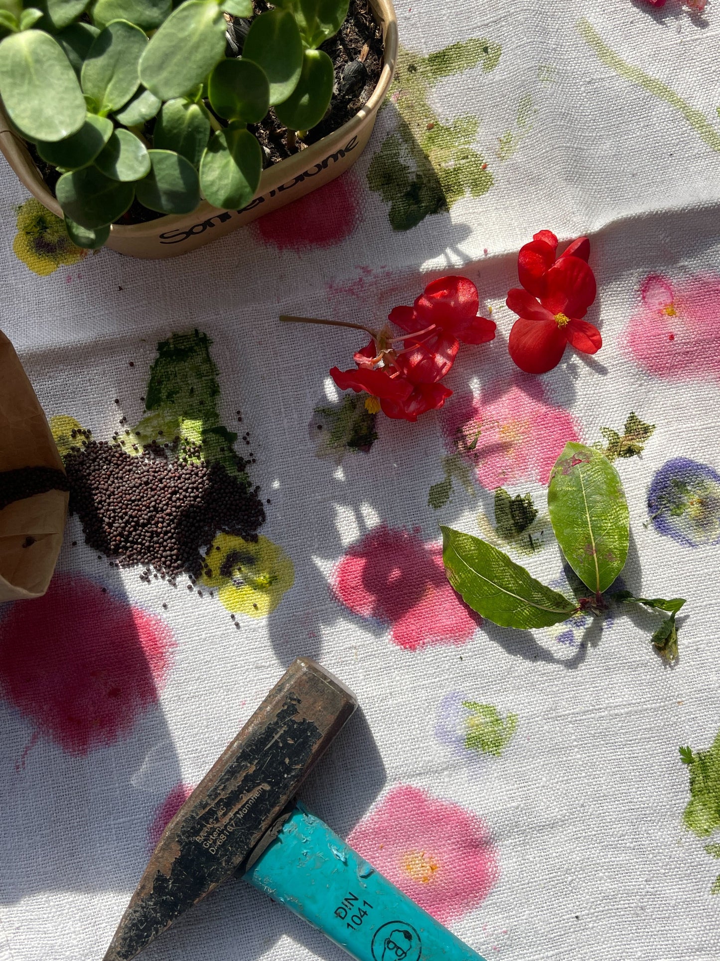FARMWORKSHOP | 11.5.2025 | Muttertag: Blüten drucken & Microgreens