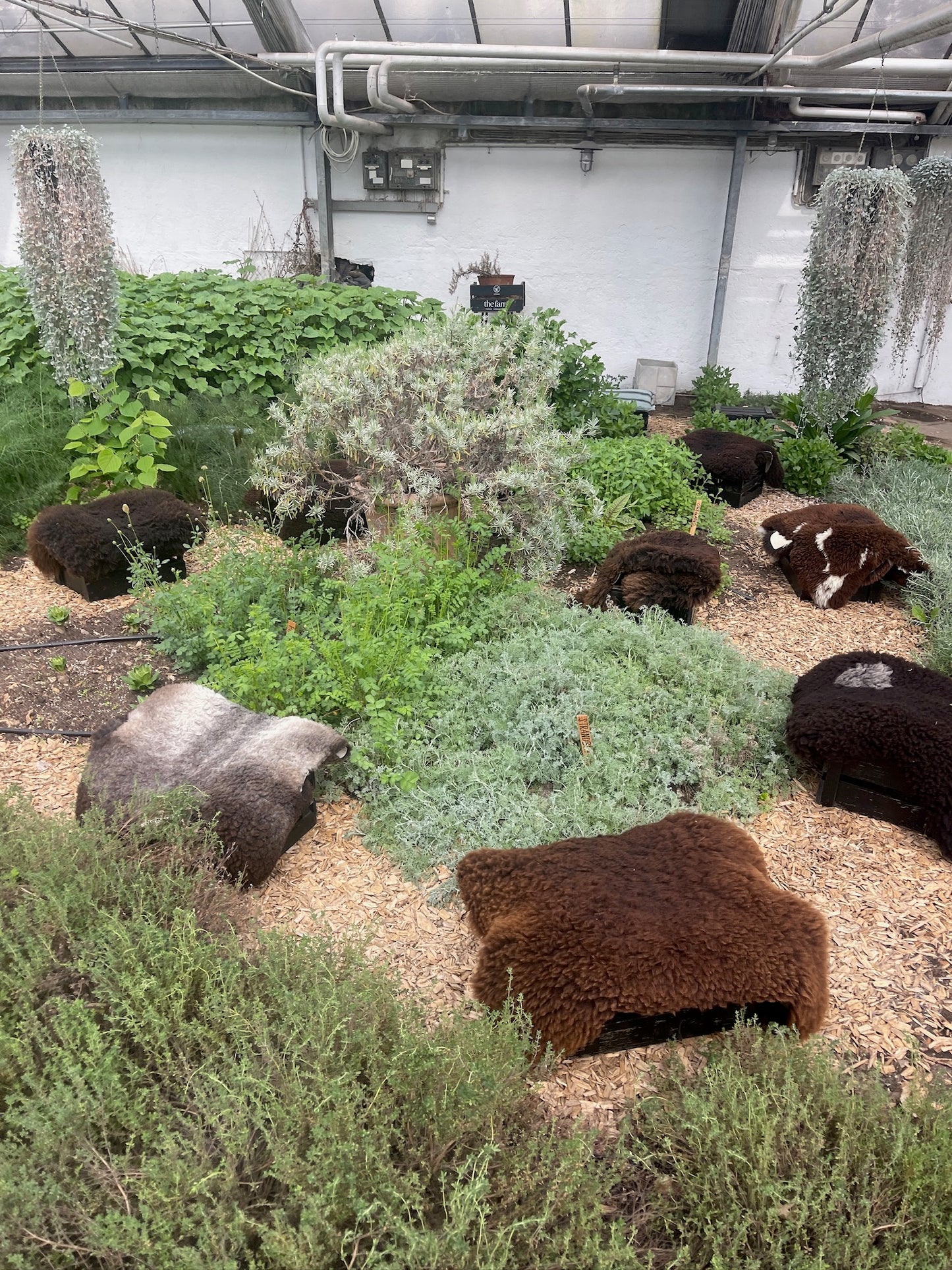 FARMWORKSHOP | 29.6.2025 | Permakultur